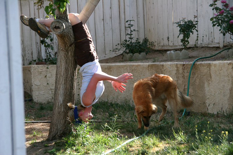 Playing in Trees